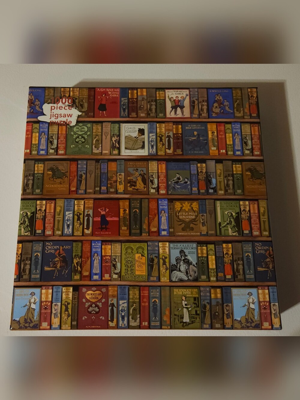 Vintage Library Book Spines Wall Art Puzzle - Multi-Color